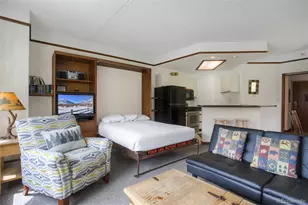 45 Beeler Pl, Frisco, CO 80443 - Photo 10