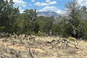Cr 530, Walsenburg, CO 81089 - Photo 1