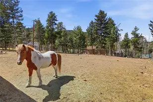 9225 Sandy Ln, Conifer, CO 80433 - Photo 42