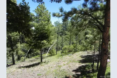 13910 Boulder Lane, Larkspur, CO 80118 - Photo 38