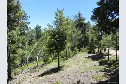 13910 Boulder Lane, Larkspur, CO 80118 - Photo 28