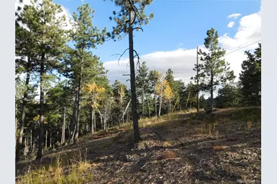 13910 Boulder Lane, Larkspur, CO 80118 - Photo 4