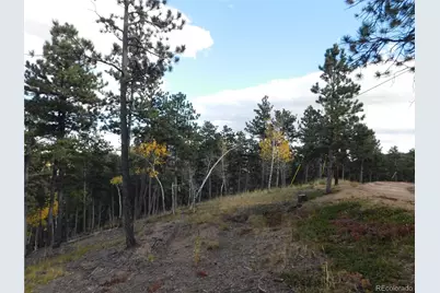 13910 Boulder Lane, Larkspur, CO 80118 - Photo 40