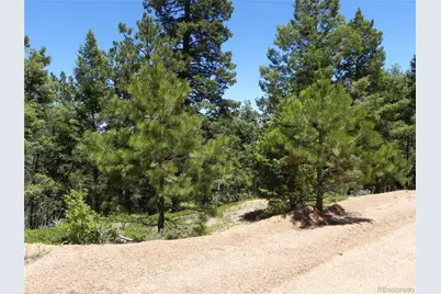 13910 Boulder Lane, Larkspur, CO 80118 - Photo 34