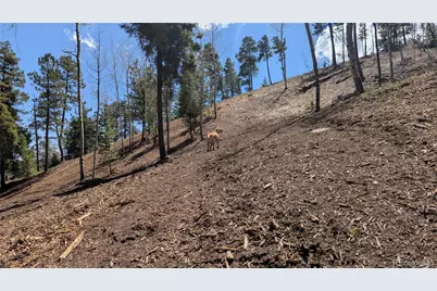 13910 Boulder Lane, Larkspur, CO 80118 - Photo 16