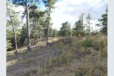 13910 Boulder Lane, Larkspur, CO 80118 - Photo 42