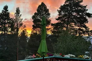 602 Dexter St, Leadville, CO 80461 - Photo 4