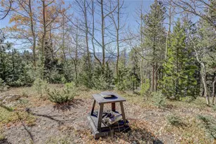 11142 Conifer Mountain Rd, Conifer, CO 80433 - Photo 10