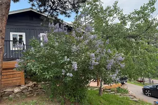 23233 Valley High Rd, Morrison, CO 80465 - Photo 34