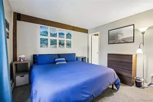 101 Ryan Gulch Ct, Silverthorne, CO 80498 - Photo 12