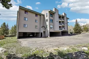 101 Ryan Gulch Ct, Silverthorne, CO 80498 - Photo 22