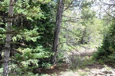 5285 Lucy Agnes, Black Hawk, CO 80422 - Photo 10