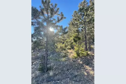 00 Tarryall Road, Hartsel, CO 80449 - Photo 2