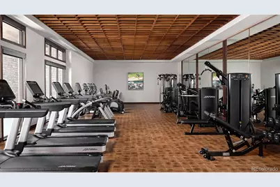 348 Agoseris Way, Castle Rock, CO 80104 - Photo 46