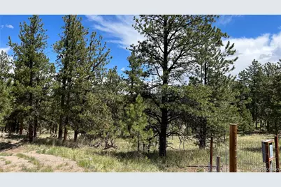 207 Little Bear Drive, Westcliffe, CO 81252 - Photo 2