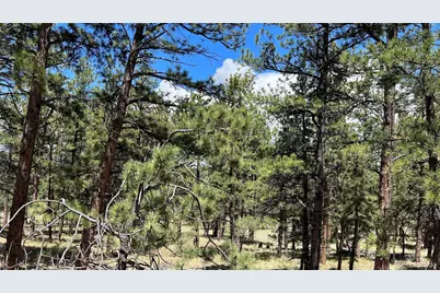 207 Little Bear Drive, Westcliffe, CO 81252 - Photo 6