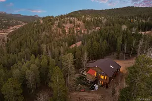 609 Gold Flake Terrace, Bailey, CO 80421 - Photo 30