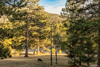 28735 Little Big Horn Drive, Evergreen, CO 80439 - Photo 2