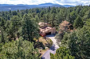 28735 Little Big Horn Dr, Evergreen, CO 80439 - Photo 44