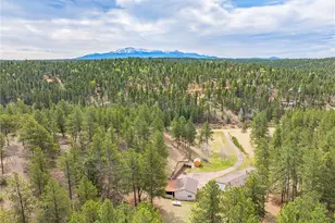 275 Mohave Creek Trail, Florissant, CO 80816 - Photo 28