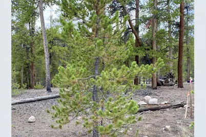 340 Peak View Drive, Twin Lakes, CO 80461 - Photo 8