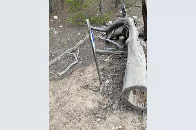 340 Peak View Drive, Twin Lakes, CO 80461 - Photo 4