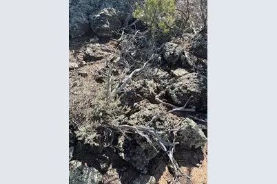 Lot 3 Ravenwood Lane, San Luis, CO 81152 - Photo 22