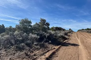 Lot 3 Ravenwood Ln, San Luis, CO 81152 - Photo 1