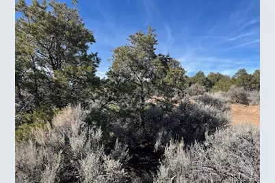 Lot 3 Ravenwood Lane, San Luis, CO 81152 - Photo 4