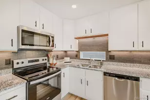 18057 E 51st Ave, Denver, CO 80249 - Photo 10