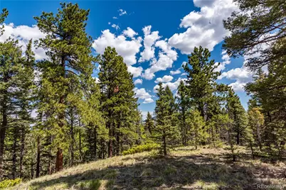298 Steven Road, Canon City, CO 81212 - Photo 10
