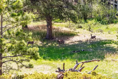 298 Steven Road, Canon City, CO 81212 - Photo 4