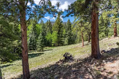 298 Steven Road, Canon City, CO 81212 - Photo 16
