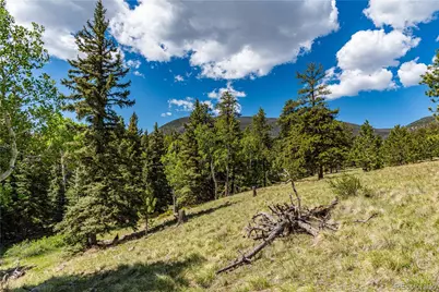 298 Steven Road, Canon City, CO 81212 - Photo 14