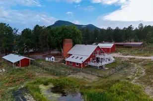 233 Perry Park Ave, Larkspur, CO 80118 - Photo 50