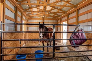 233 Perry Park Ave, Larkspur, CO 80118 - Photo 42