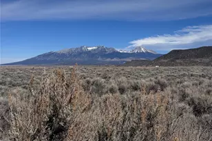 Lot 119 Budweiser Rd, Fort Garland, CO 81133 - Photo 1