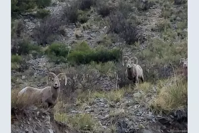 28 Juniper Drive, Twin Lakes, CO 81251 - Photo 4