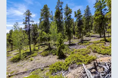 719 Miners Candle Road, Idaho Springs, CO 80452 - Photo 10