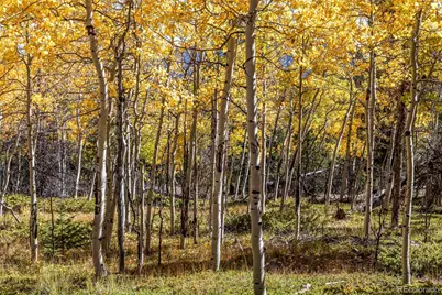 719 Miners Candle Road, Idaho Springs, CO 80452 - Photo 18