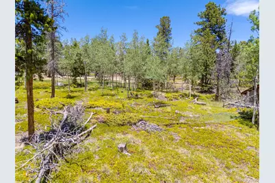 719 Miners Candle Road, Idaho Springs, CO 80452 - Photo 26
