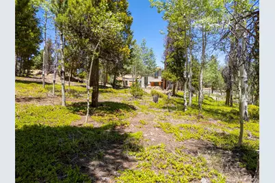 719 Miners Candle Road, Idaho Springs, CO 80452 - Photo 28