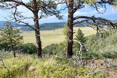 146 Cl&g, Gardner, CO 81040 - Photo 2