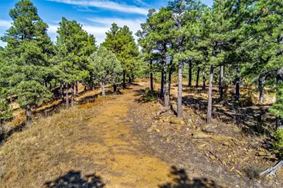 33250 Fox Trail, Trinidad, CO 81082 - Photo 10