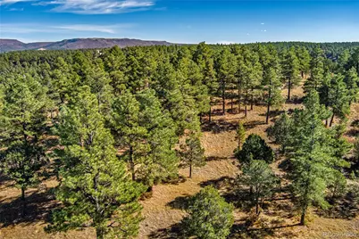 33250 Fox Trail, Trinidad, CO 81082 - Photo 12