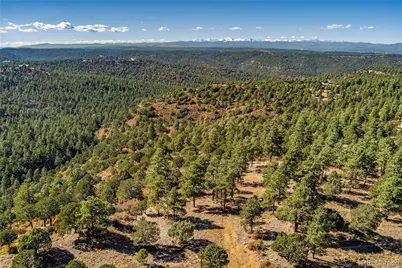 33250 Fox Trail, Trinidad, CO 81082 - Photo 22