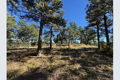 33250 Fox Trail, Trinidad, CO 81082 - Photo 8