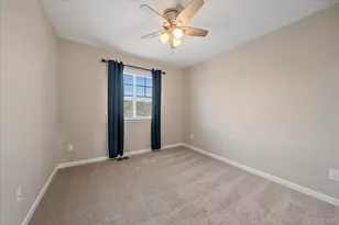 3165 Bittern St, Castle Rock, CO 80104 - Photo 30