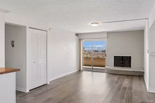 1313 N Williams St, Denver, CO 80218 - Photo 12