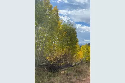 L1 B4 Columbine Circle, Woodland Park, CO 80863 - Photo 24